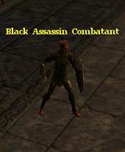 Black Assassin Combatant